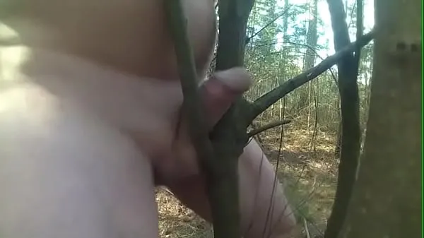 Νέα fuck tree deep forest καλύτερα κλιπ